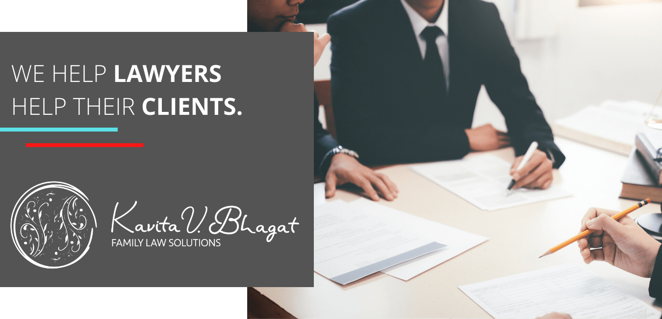 For Lawyers hero image
